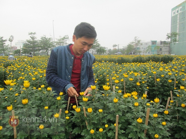 Sinh viên Đà Nẵng kiếm tiền tiêu Tết bằng nghề chăm sóc hoa 2