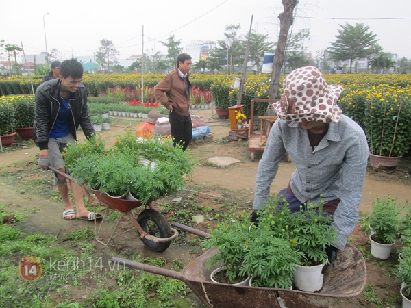 Sinh viên Đà Nẵng kiếm tiền tiêu Tết bằng nghề chăm sóc hoa 4