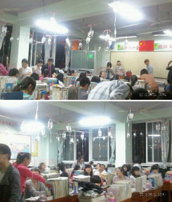12 h&igrave;nh ảnh học tập th&uacute; vị tr&ecirc;n to&agrave;n thế giới 7
