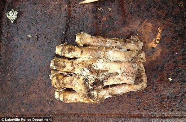 Xuất hiện dấu chân khổng lồ được cho là của dã nhân Bigfoot 2