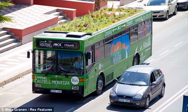 Chống nóng bằng cách trồng cây trên nóc xe bus 1