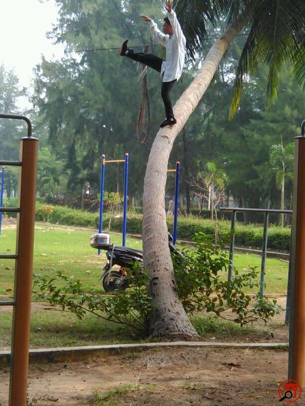 Người đ&agrave;n &ocirc;ng "luyện c&ocirc;ng" điệu nghệ tr&ecirc;n th&acirc;n c&acirc;y dừa 1