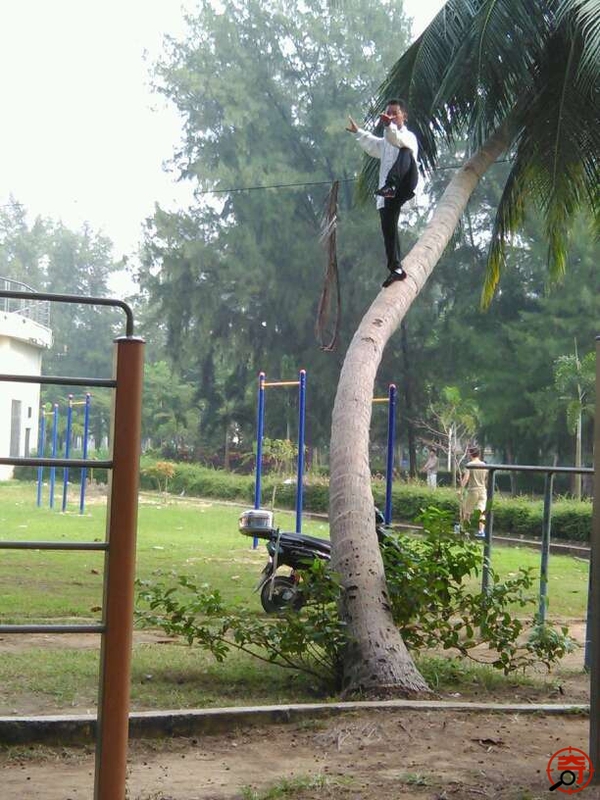 Người đ&agrave;n &ocirc;ng "luyện c&ocirc;ng" điệu nghệ tr&ecirc;n th&acirc;n c&acirc;y dừa 3