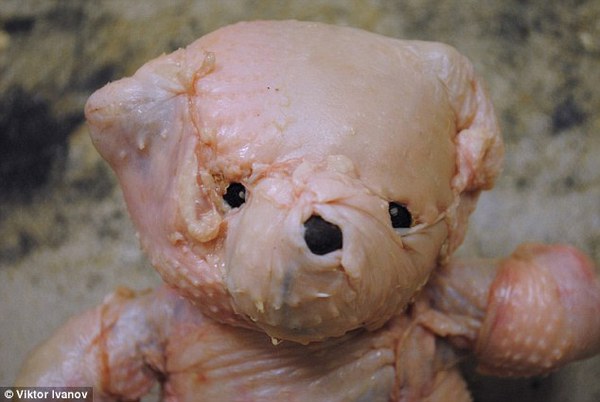 Món quà Giáng sinh đáng sợ nhất: Gấu Teddy được khâu bằng da gà 2
