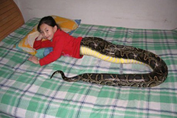 Sự thật về tin đồn cô bé nửa người, nửa rắn ở Thái Lan 1