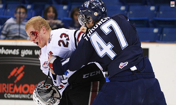 Những “trận chiến” đẫm máu trên sân băng Hockey 21