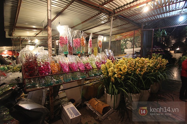 Chợ hoa Quảng Bá tấp nập sáng cuối năm 15