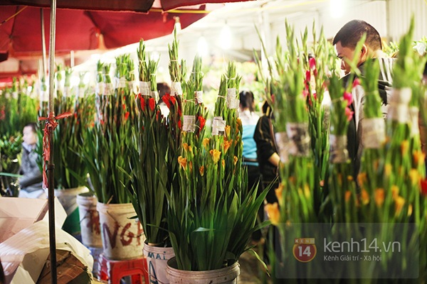 Chợ hoa Quảng Bá tấp nập sáng cuối năm 24