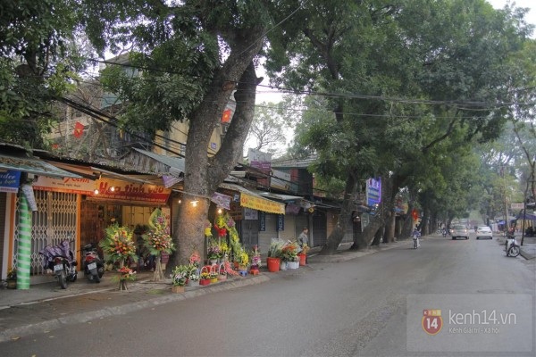 Khan hiếm thị trường qu&agrave; tặng Valentine đ&uacute;ng dịp Tết &acirc;m lịch 1