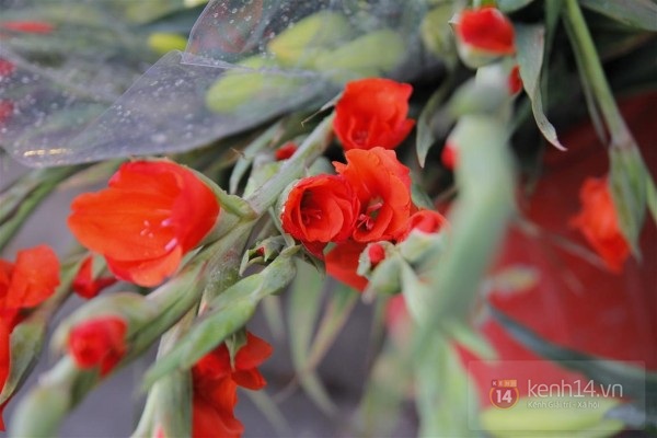 Khan hiếm thị trường qu&agrave; tặng Valentine đ&uacute;ng dịp Tết &acirc;m lịch 10
