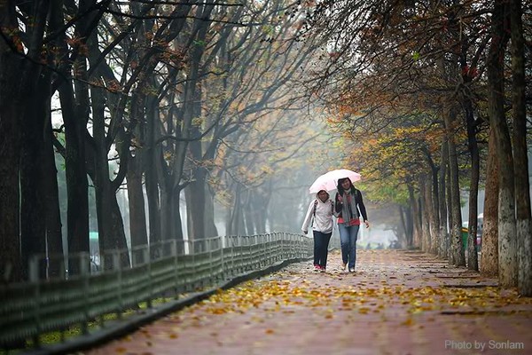 Những con đường “tình yêu” lãng mạn nhất Hà Nội 5