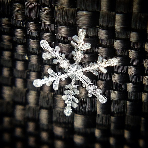 Ống k&iacute;nh Macro Add-on biến Iphone th&agrave;nh m&aacute;y ảnh DSLR 6