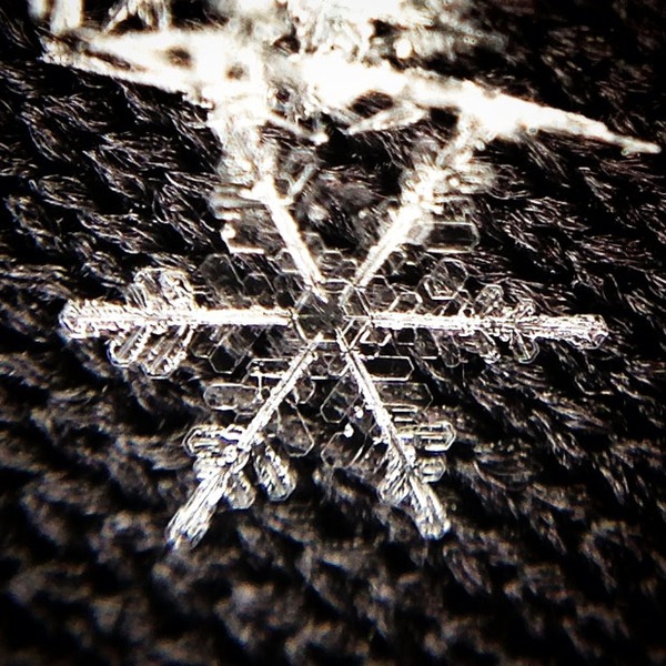 Ống k&iacute;nh Macro Add-on biến Iphone th&agrave;nh m&aacute;y ảnh DSLR 9