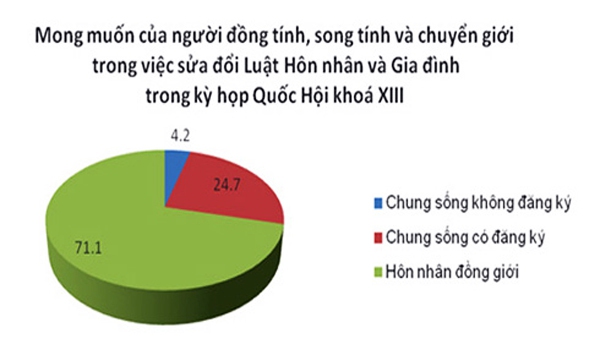 Bao giờ hôn nhân của người đồng tính được thừa nhận ở VN?  3