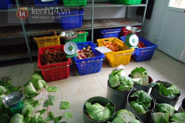 tan-mat-xem-gau-tu-ky-nam-vong-choi-tron-tim-tai-thien-duong-gau-viet-nam
