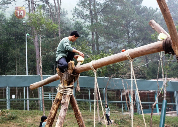 tan-mat-xem-gau-tu-ky-nam-vong-choi-tron-tim-tai-thien-duong-gau-viet-nam