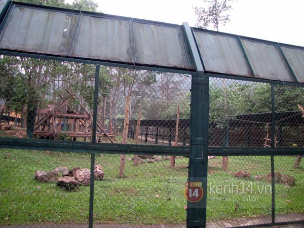tan-mat-xem-gau-tu-ky-nam-vong-choi-tron-tim-tai-thien-duong-gau-viet-nam
