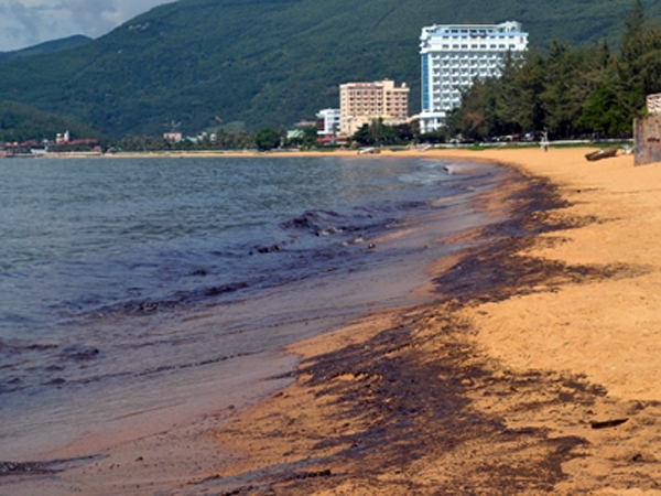Dầu phủ đen biển Quy Nhơn, ngư d&acirc;n kh&oacute;c r&ograve;ng 1