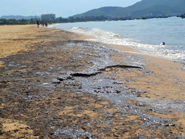 Dầu phủ đen biển Quy Nhơn, ngư d&acirc;n kh&oacute;c r&ograve;ng 2