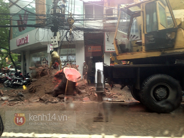 Cây đổ đè bẹp xe buýt đang chạy khiến phố Hà Nội tắc dài nhiều giờ trong mưa 14