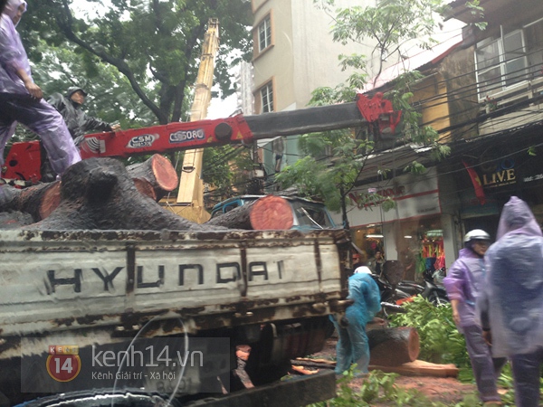 Cây đổ đè bẹp xe buýt đang chạy khiến phố Hà Nội tắc dài nhiều giờ trong mưa 15