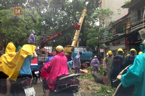 Cây đổ đè bẹp xe buýt đang chạy khiến phố Hà Nội tắc dài nhiều giờ trong mưa 11