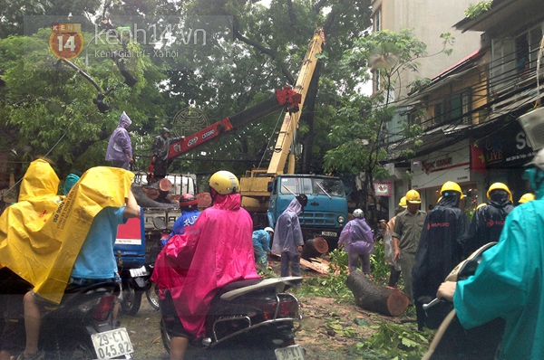 C&acirc;y đổ đ&egrave; bẹp xe bu&yacute;t đang chạy khiến phố H&agrave; Nội tắc d&agrave;i nhiều giờ trong mưa 11