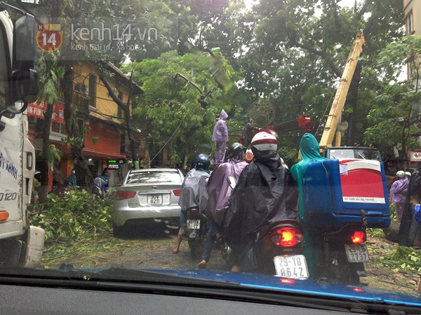 Cây đổ đè bẹp xe buýt đang chạy khiến phố Hà Nội tắc dài nhiều giờ trong mưa 16
