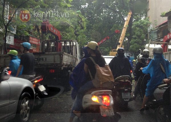 Cây đổ đè bẹp xe buýt đang chạy khiến phố Hà Nội tắc dài nhiều giờ trong mưa 17