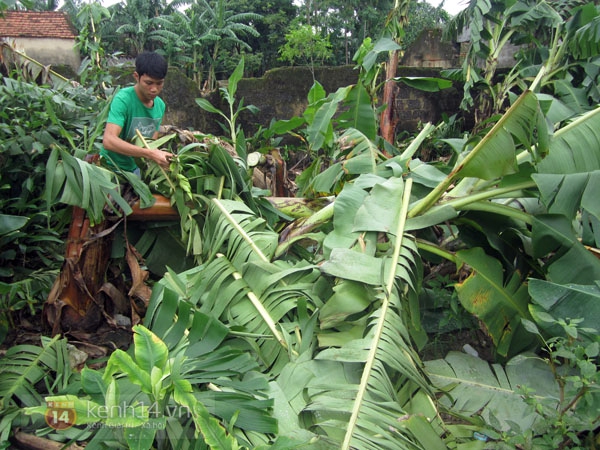 Chàng trai nghèo không cha, một mình nuôi mẹ bị bệnh tâm thần vẫn đỗ đại học 5