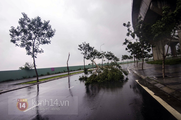 Chùm ảnh: Gió mạnh quần thảo thành phố Đà Nẵng trước giờ tâm bão đổ bộ 8