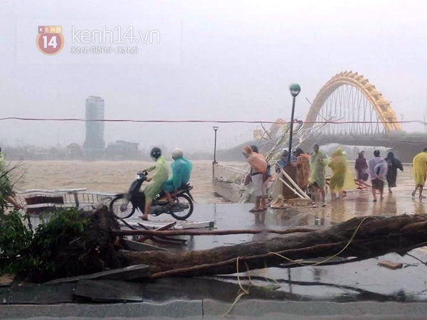 Cập nhật bão số 11: Đà Nẵng - Huế tả tơi trong tâm bão 2