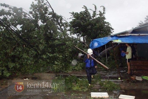 Cận cảnh siêu bão số 10 tàn phá Quảng Bình 4
