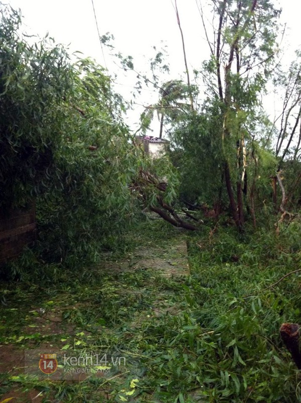 Cận cảnh siêu bão số 10 tàn phá Quảng Bình 8