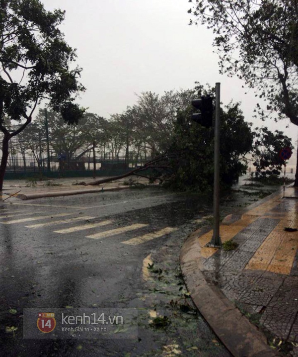 Cập nhật bão số 11: Đà Nẵng - Huế tả tơi trong tâm bão 8