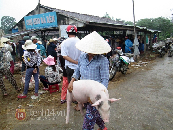 Chuyện về những người phụ nữ làm nghề… bế lợn thuê 8