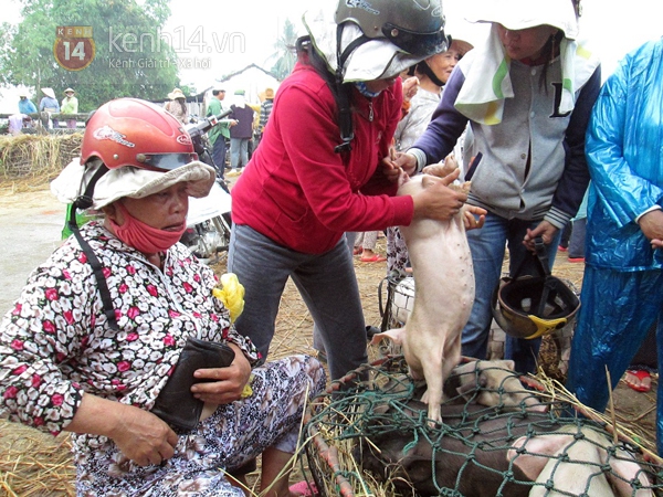 Chuyện về những người phụ nữ làm nghề… bế lợn thuê 3