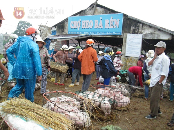 Chuyện về những người phụ nữ làm nghề… bế lợn thuê 1