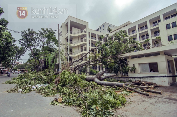 Khung cảnh tan hoang sau bão của nhiều trường học ở Đà Nẵng 1