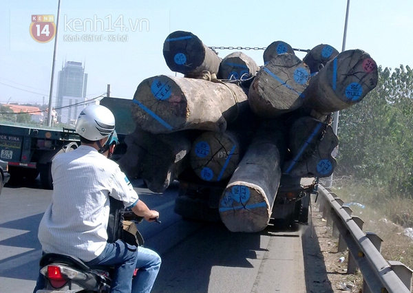 H&atilde;i h&ugrave;ng với những &ldquo;qu&aacute;i vật&rdquo; tr&ecirc;n xa lộ 3
