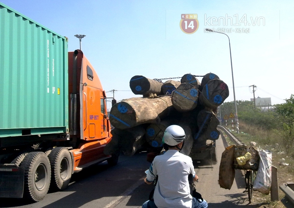 H&atilde;i h&ugrave;ng với những &ldquo;qu&aacute;i vật&rdquo; tr&ecirc;n xa lộ 2