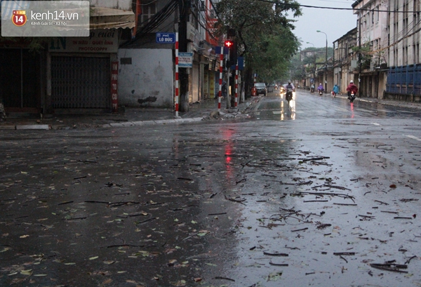 Hà Nội mưa to suốt đêm, nhiều cây đổ do ảnh hưởng của bão Haiyan 12