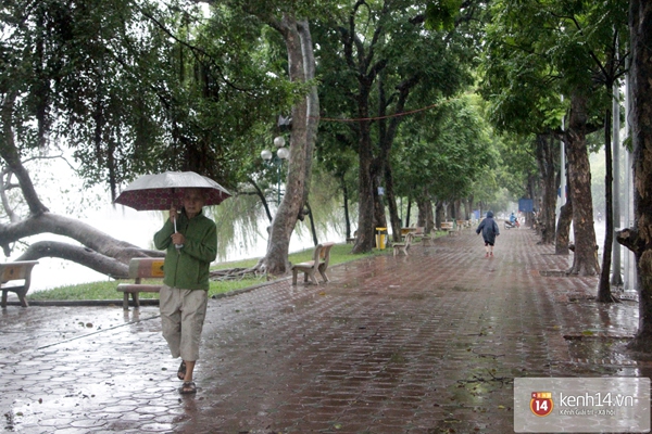 Hà Nội mưa to suốt đêm, nhiều cây đổ do ảnh hưởng của bão Haiyan 27