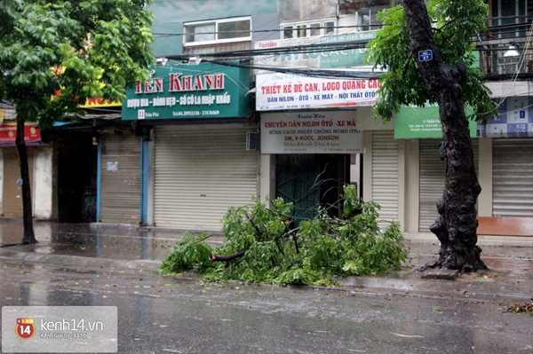 Hà Nội mưa to suốt đêm, nhiều cây đổ do ảnh hưởng của bão Haiyan 14