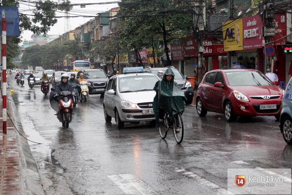Hà Nội mưa to suốt đêm, nhiều cây đổ do ảnh hưởng của bão Haiyan 22
