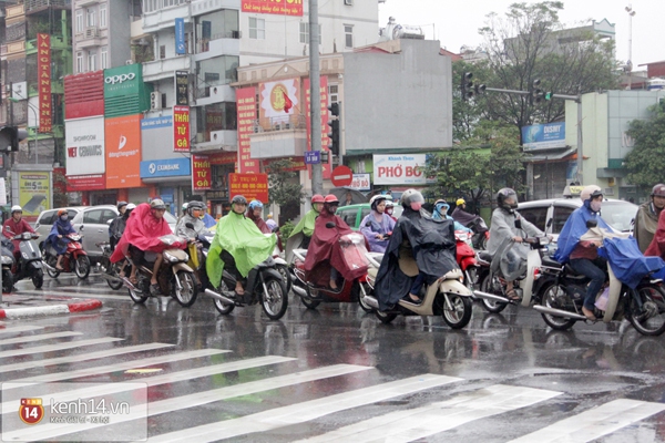 Hà Nội mưa to suốt đêm, nhiều cây đổ do ảnh hưởng của bão Haiyan 23