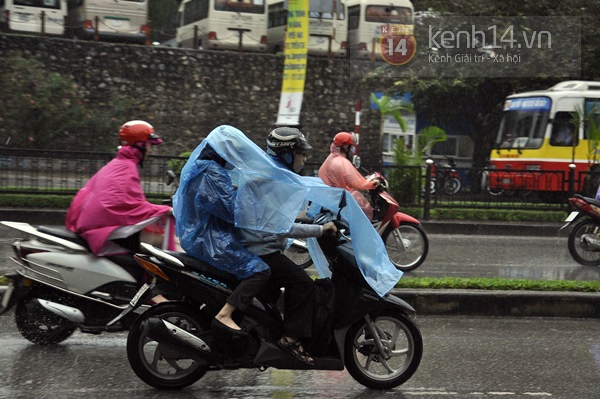 Hà Nội mưa to suốt đêm, nhiều cây đổ do ảnh hưởng của bão Haiyan 29