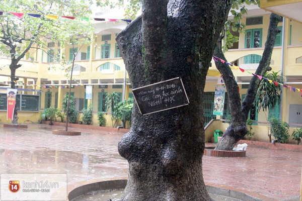 Ch&ugrave;m ảnh: C&aacute;c trường học ở H&agrave; Nội đ&oacute;ng cửa im l&igrave;m ng&agrave;y đầu tuần 7
