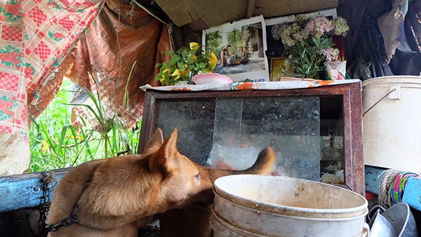 Gia đình ở Sài Gòn 30 năm lênh đênh sông nước mong một lần được nhìn thấy ánh điện 8