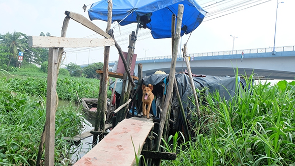 Gia đình ở Sài Gòn 30 năm lênh đênh sông nước mong một lần được nhìn thấy ánh điện 2